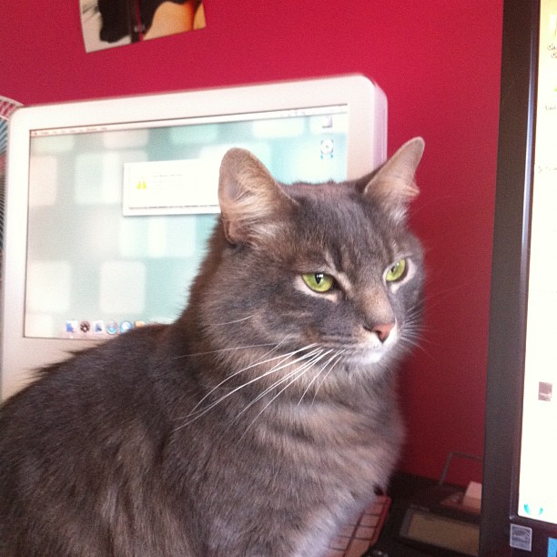 Twister gets back to work