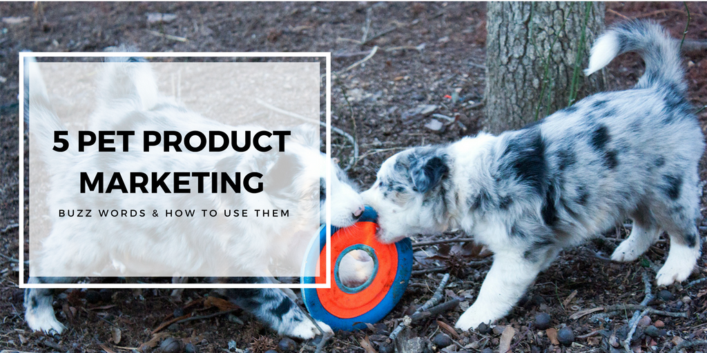 5 Pet Product Marketing Buzz Words