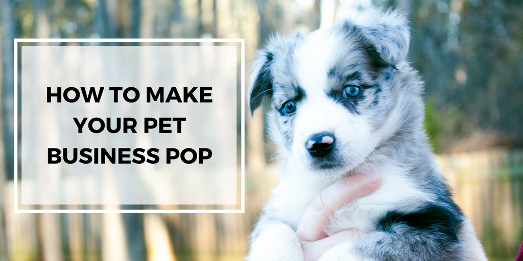 How to Make Your Pet Business Pop