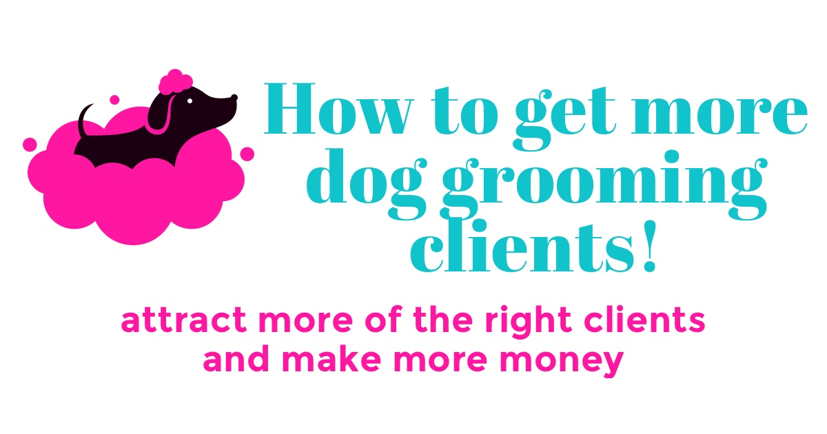 4 ideas to get more clients for your dog grooming salon