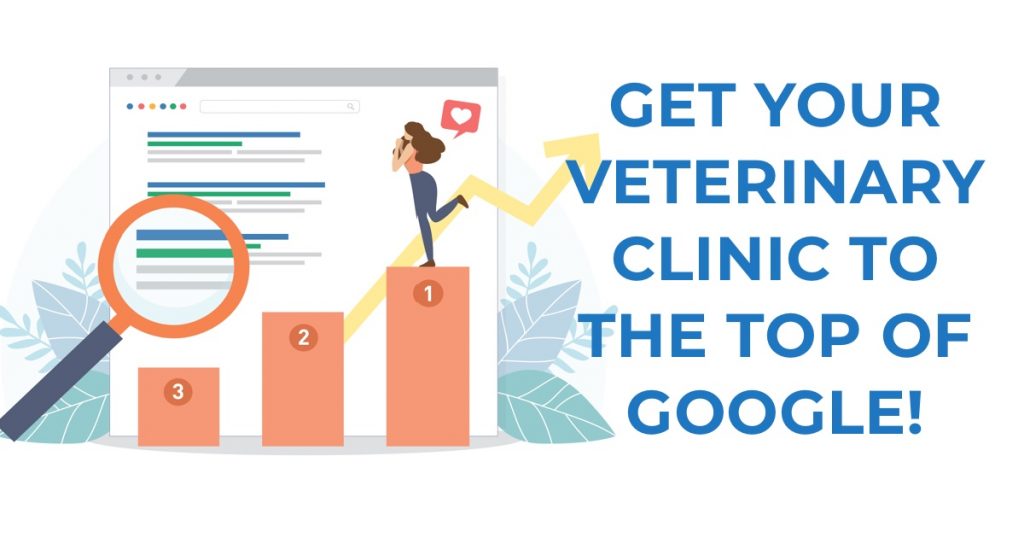 How to get to the top of Google – the veterinary practice edition