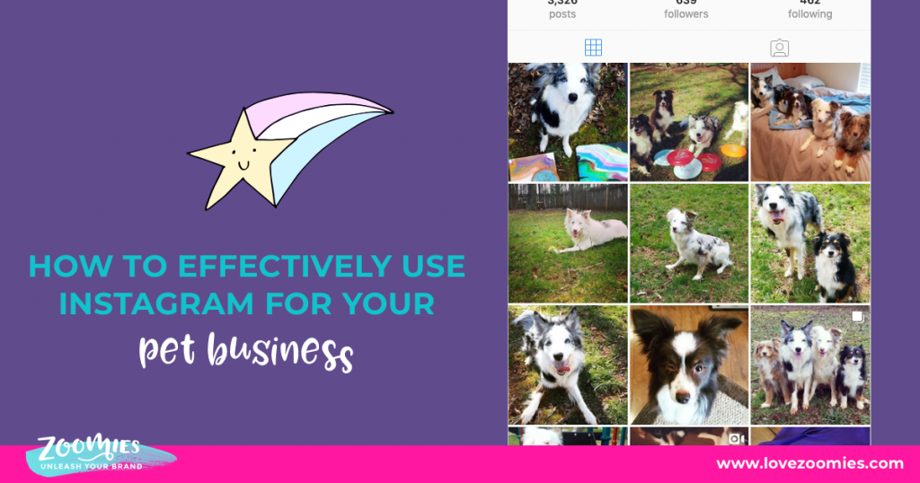 Make Your Pet Business Explode On Instagram 1