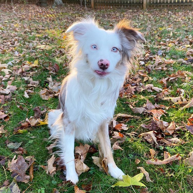 winnie About 5