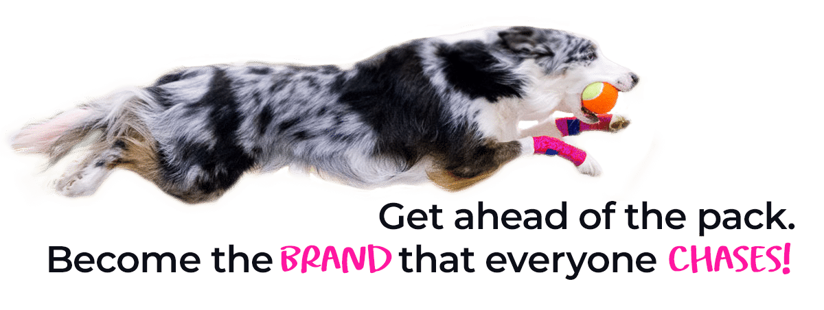 get ahead of the pack and create an authority brand 